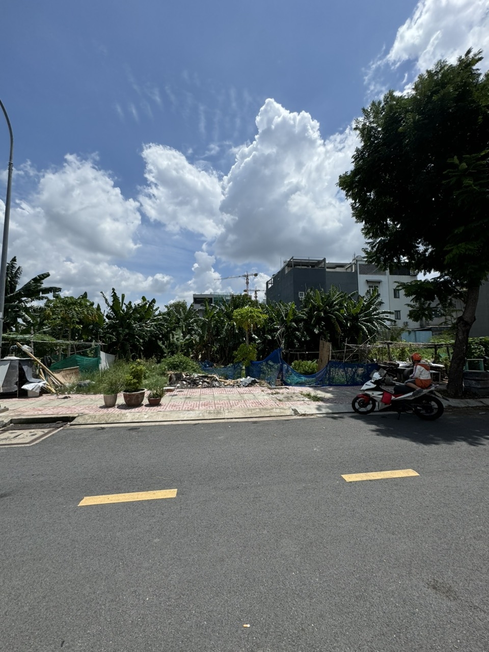 LuongNgocQuyen_P.1_QuanGoVap_HoChiMinh_1784193342_427079_1.jpg